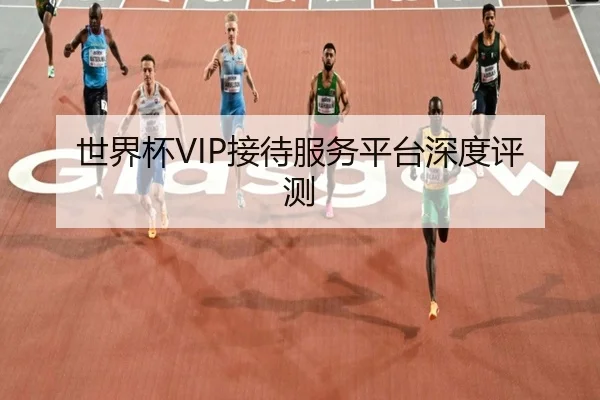 世界杯VIP接待服务平台深度评测