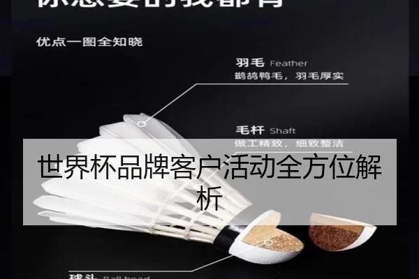 世界杯品牌客户活动全方位解析